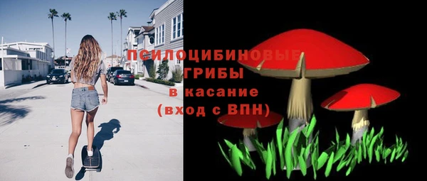 соль ск Аркадак