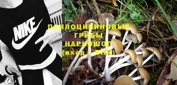 прущая мука Арсеньев