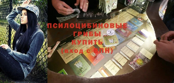 прущая мука Арсеньев