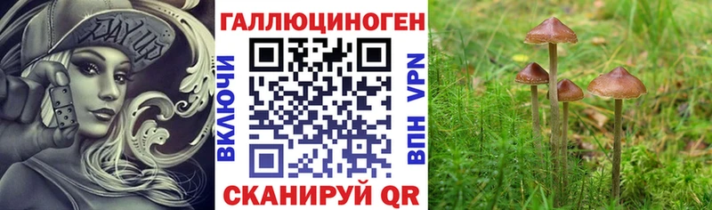 Галлюциногенные грибы прущие грибы  хочу   Нижнеудинск 